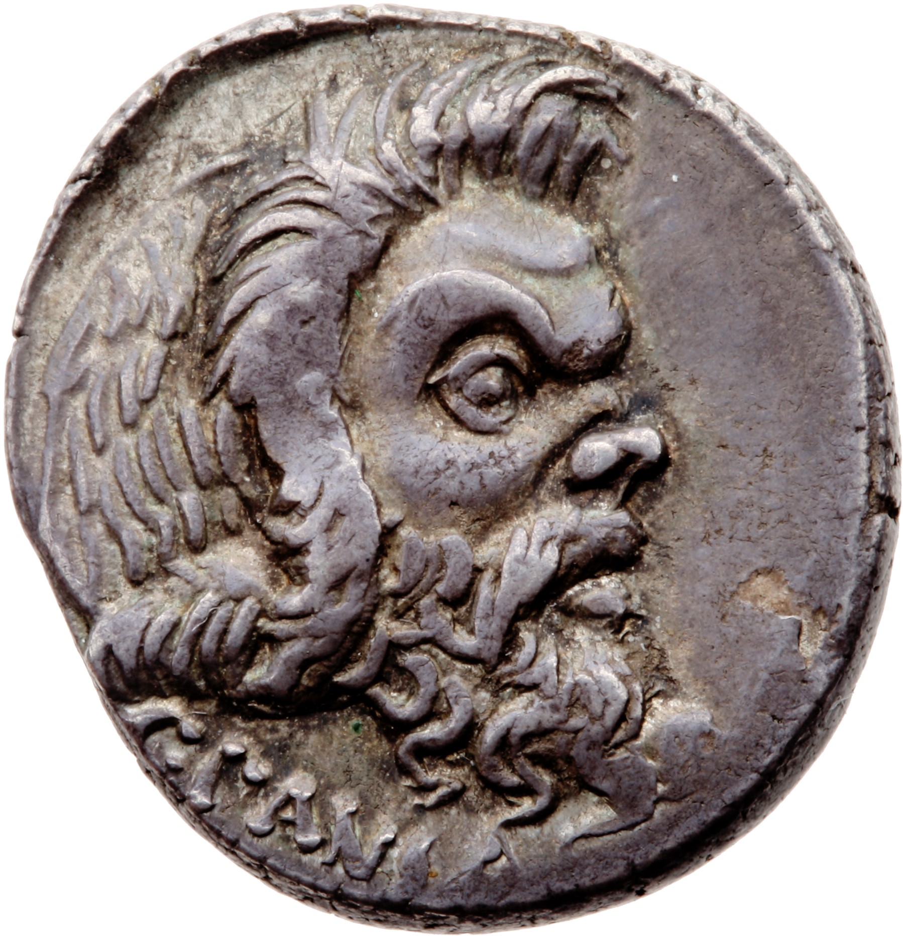 Römische Republik: D. Iunius Brutus Albinus und C. Vibius Pansa