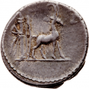 Römische Republik: Cn. Plancius